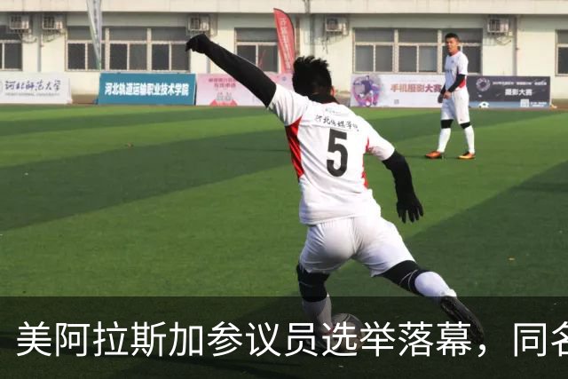 美阿拉斯加参议员选举落幕，同名候选人惹争议，参议院或反对就职